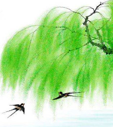 【时光】且与春风舞一场（散文）