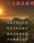 【菊韵】跌落在月光下的一滴水（外一首）