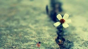 令人心酸至极的微瞬间