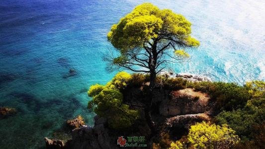胜人与独诣
