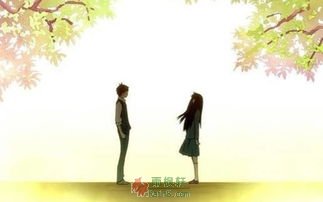 祭奠十七岁的花开