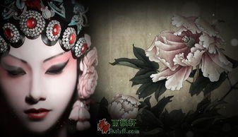 跌倒就唱昆曲呗
