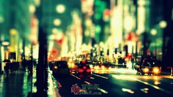 只有父母不肯委屈了我的城市梦