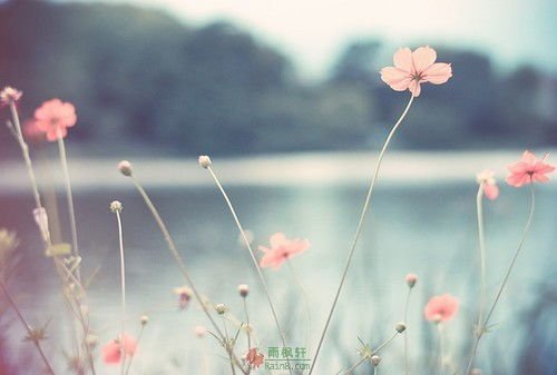 择“差”录取