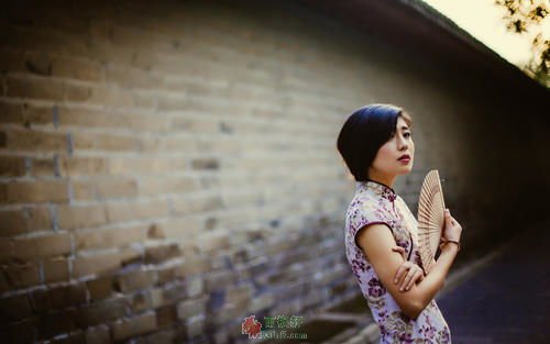 驴脑子里的事情