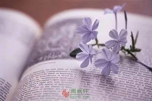 你为什么应该忽视过去