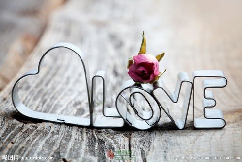 17岁那年疯跑的爱