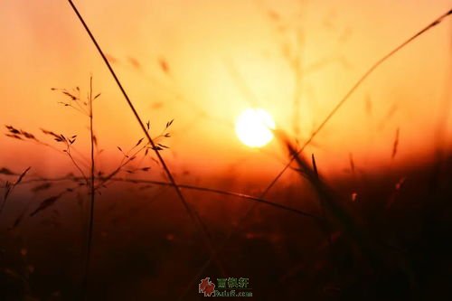众生平等到底指的是什么