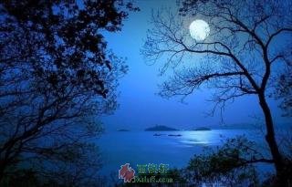 温一壶月光下酒