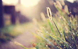 书写，让我与故乡达成和解