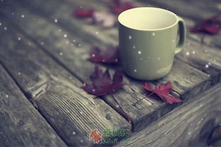 弄斧必到班门