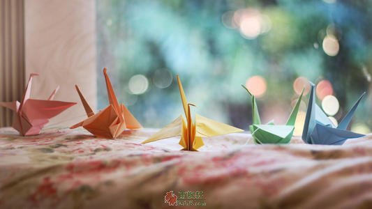 理想不能天天想