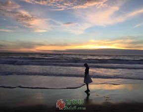 寻找回来的诚实