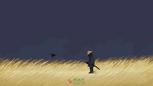 为什么你不够优秀