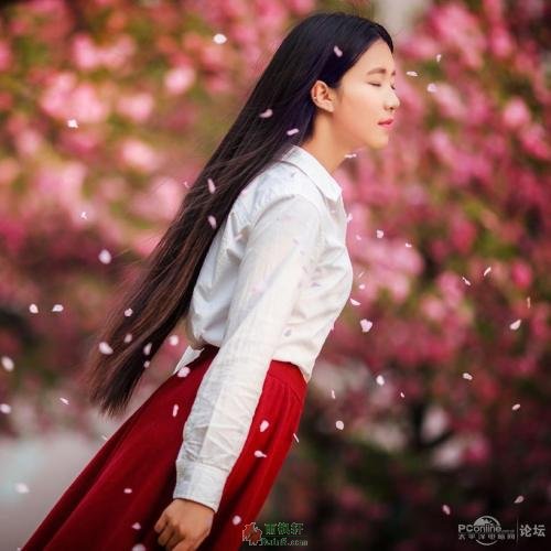 花开若相惜，花落莫相离