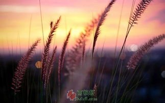 站在生命之巅