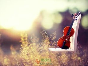 你有怎样的心态，就拥有怎样的生活