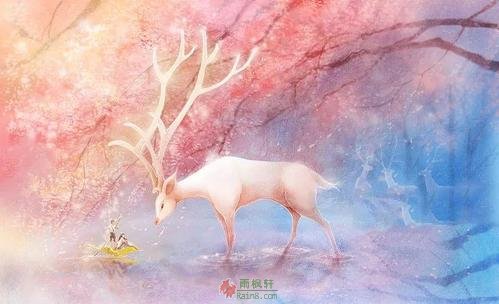 语言的力量