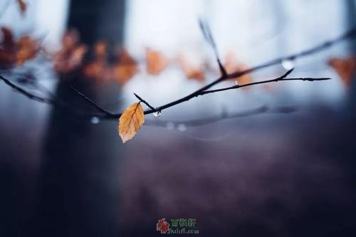 人到中年，收起你的大方