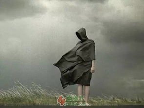 的哥眼里的世相