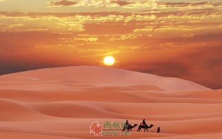 钻进名表的一粒沙