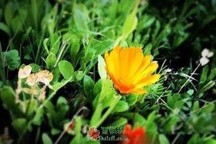 素未谋面，好好活着