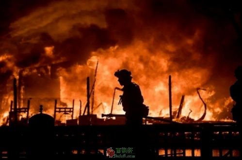 当荒谬的光照彻大地