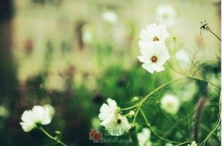 去享受生命中更美好的事情