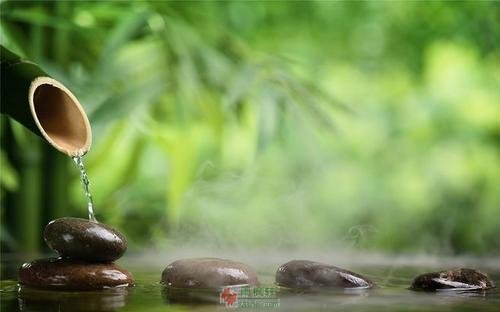 石头很快乐