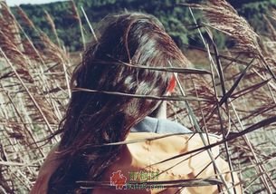 我是个转了背的理想主义者