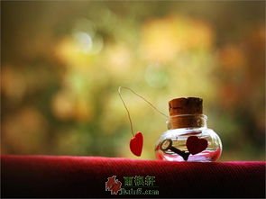 走一路红尘，愿你相伴