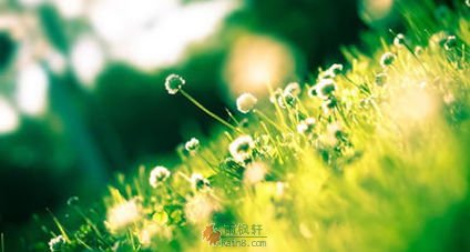 李元婴的处世之道
