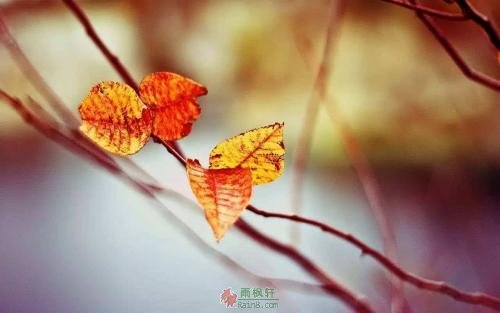 放下的资格